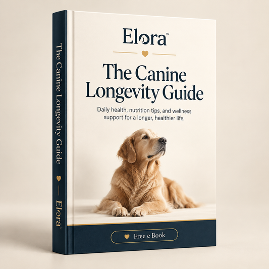 Canine Longevity Guide