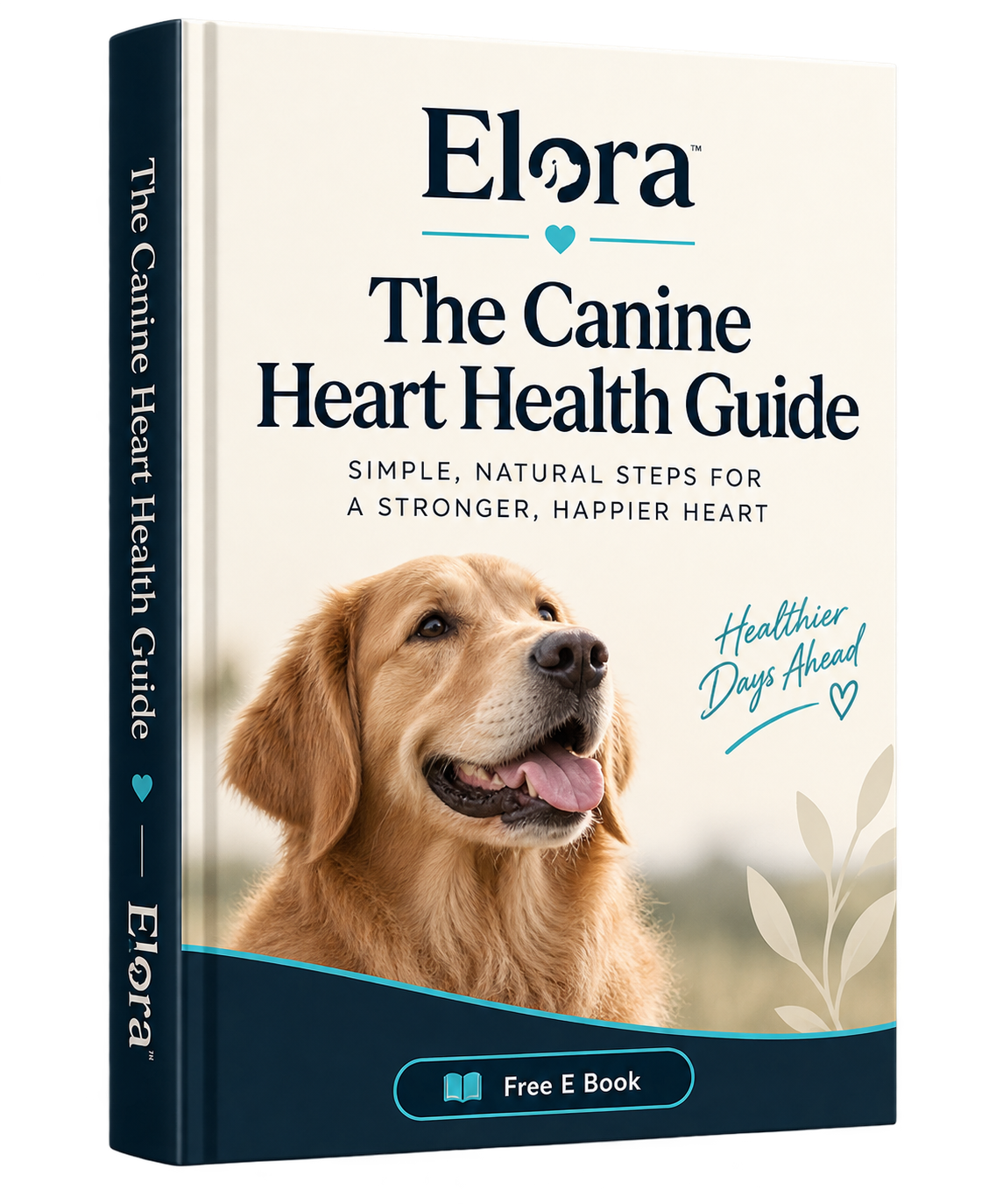 Heart Health E-Book