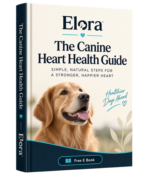 Heart Health E-Book
