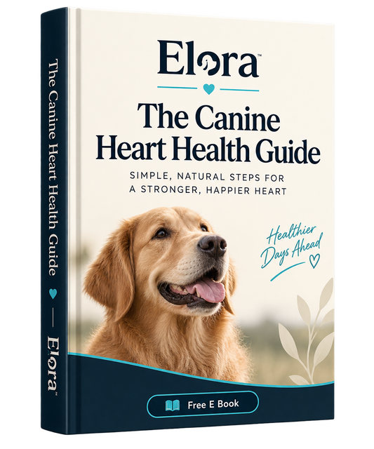 Heart Health E-Book