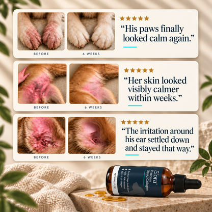 Elora Liquid Collagen