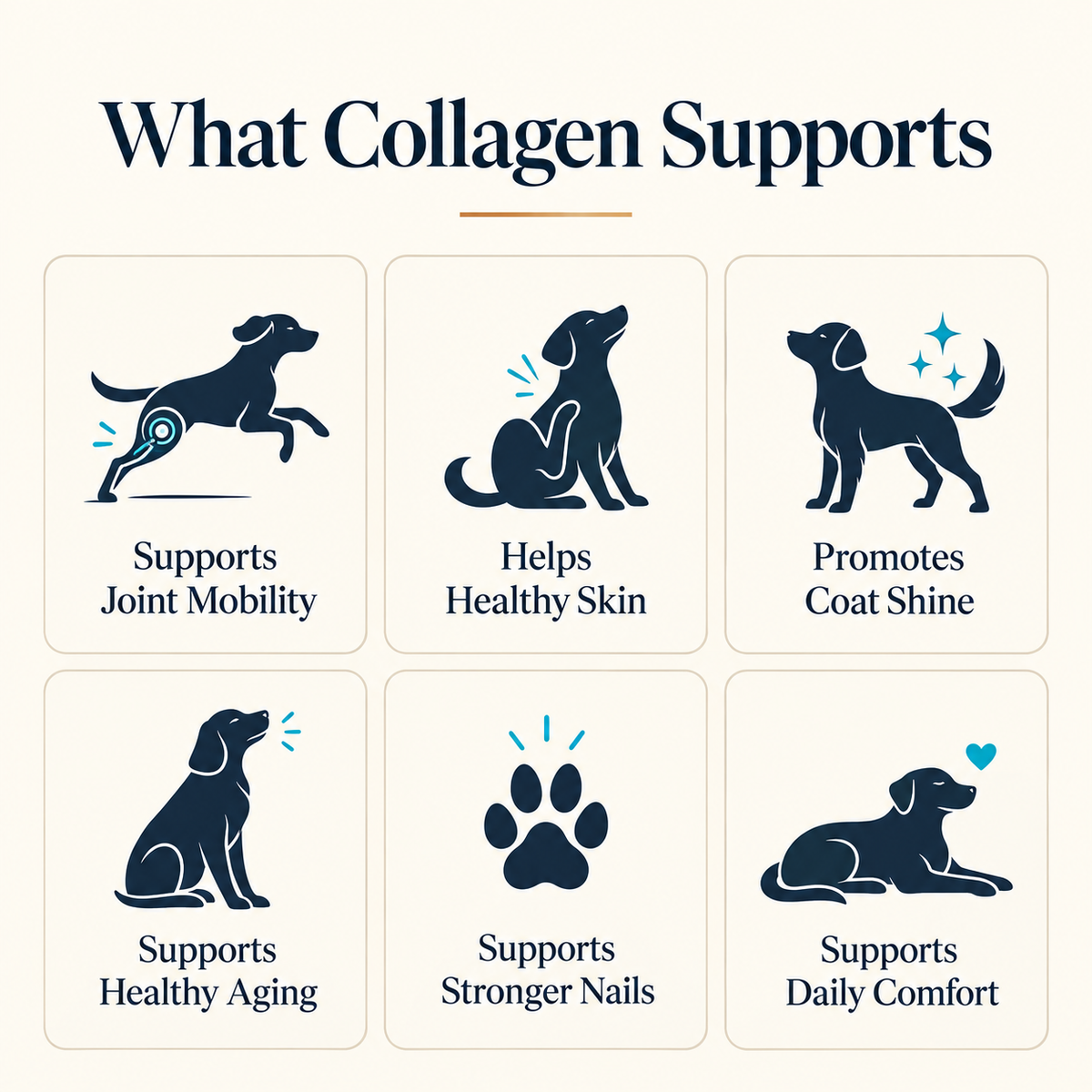 Elora Liquid Collagen