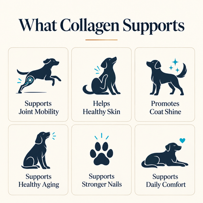 Elora Liquid Collagen
