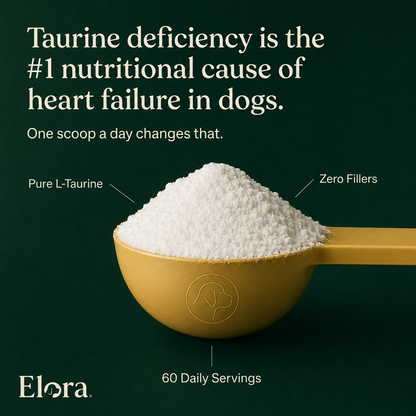 Elora Taurine